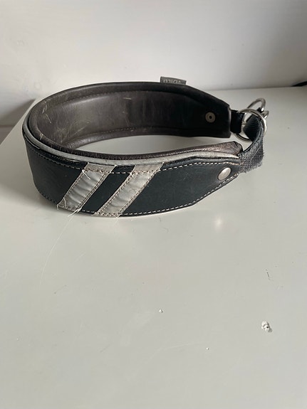 Nahkainen puolikuristava panta 45-57 cm (isolle koiralle)