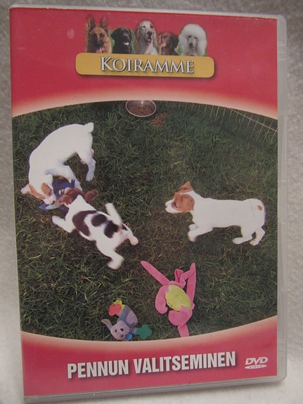 Koiramme : Pennun valitseminen dvd