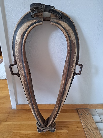 Vanhat länget