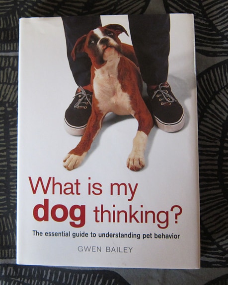 What is my dog thinking?
