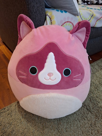 Squishmallows kissa