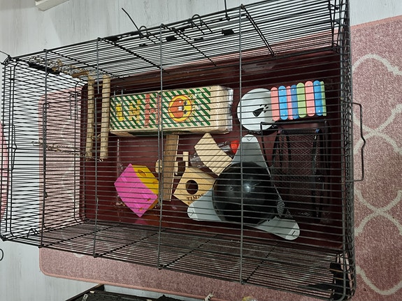Hamsteri tarvikkeet Myydään Tori