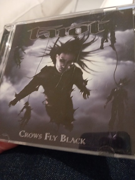 Tarot Crows Fly Black