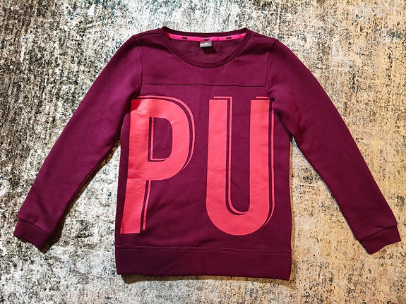 Puma college