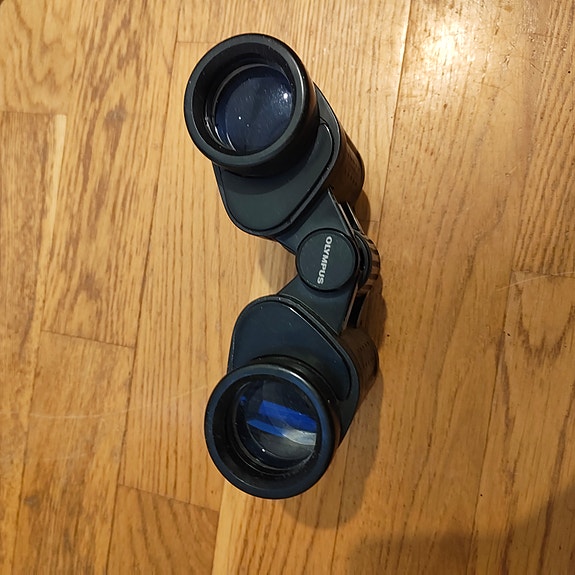 Kikarit Olympus