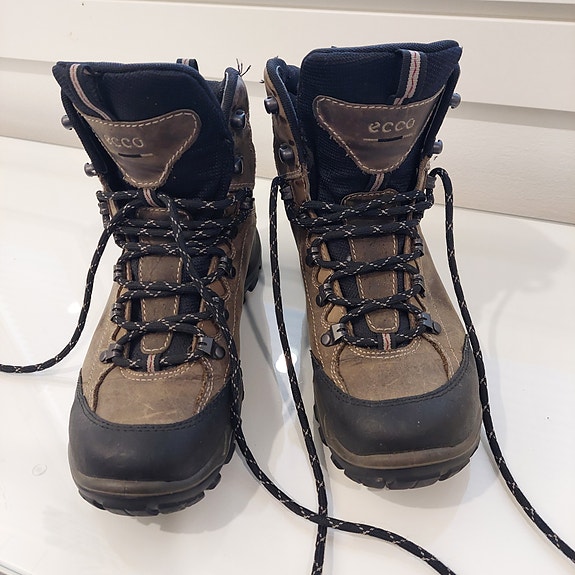 Ecco Gore-tex