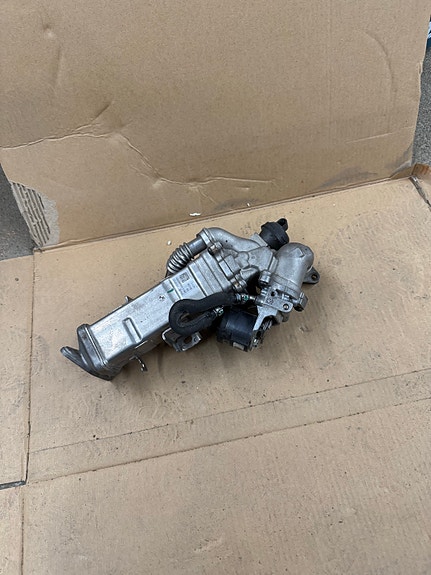 BMW EGR