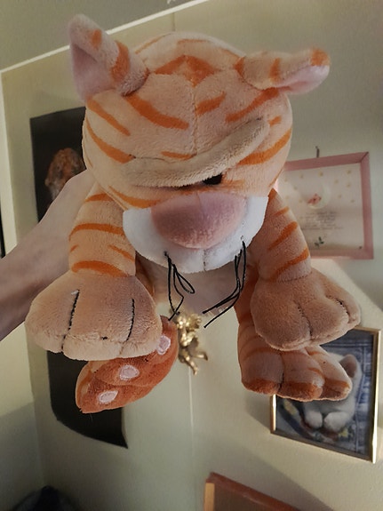 Ihana raidallinen kissa