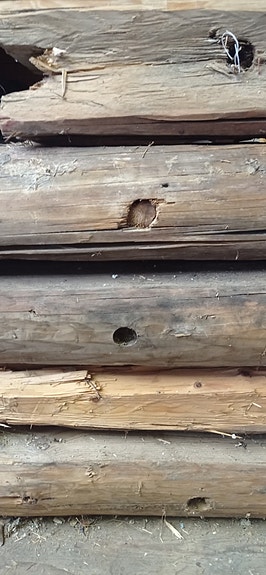 Ohuita hirsiä