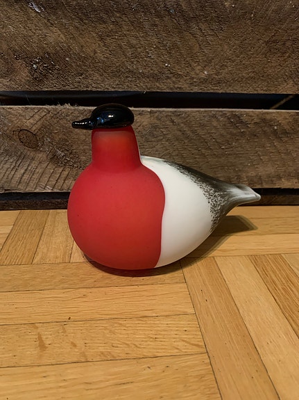 Toikan punatulkku