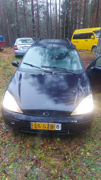 Ford focus osina