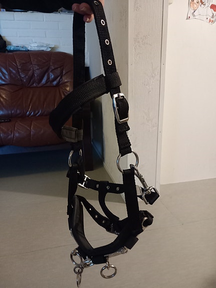 Kapsoni pony koko