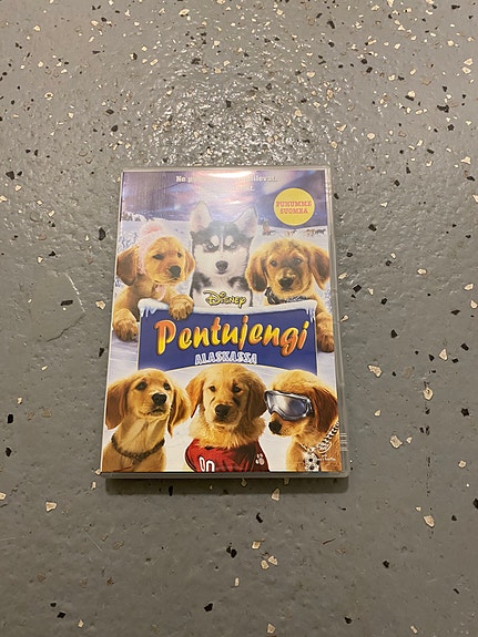Pentujengi Alaskassa dvd