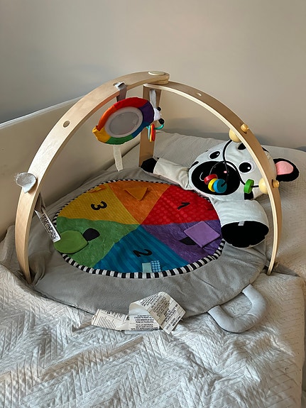 Baby Einstein Zen's Activity Milestones Leikkimatto Tori