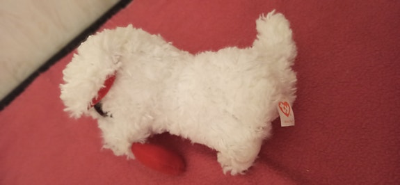 Ty Beanie Boos, koira, pehmolelu