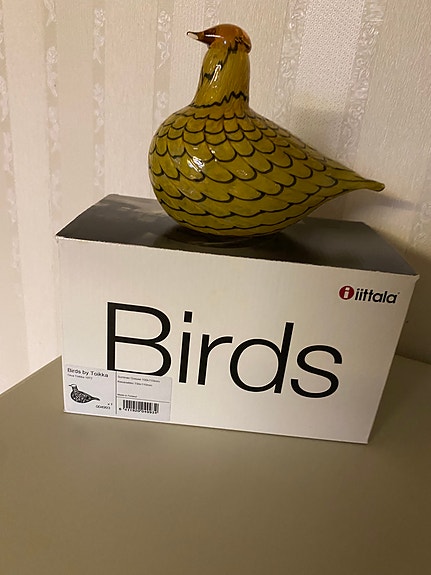 Oiva toikka lintu Kesäriekko