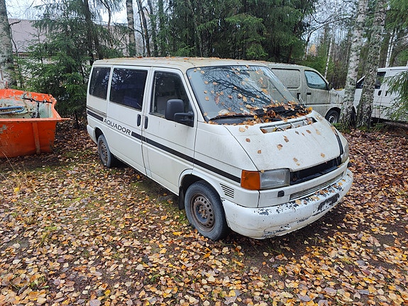 VW T4 osina