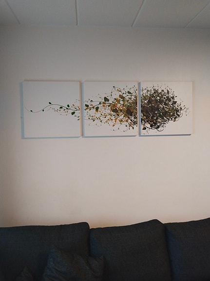 3 taulua 50 cm x 50 cm