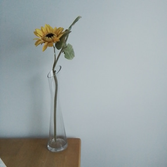 Korkea lasimaljakko kirkas K50cm
