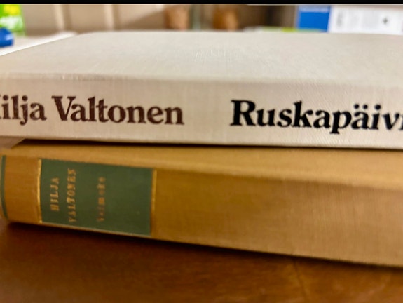 Hilja Valtonen Ruskapäiviä ja Vaimoke