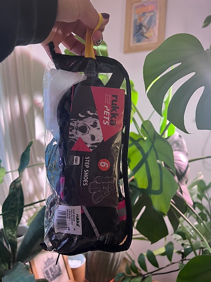 Rukka Step Shoes Koira Kengät Musta Koko 6