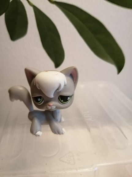 Littlest Pet Shop kissa
