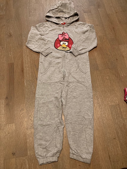 Angry Bird collegehaalari 110/116