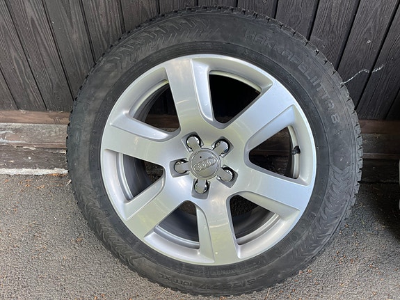 Hakkapeliitta 8 nastarenkaat