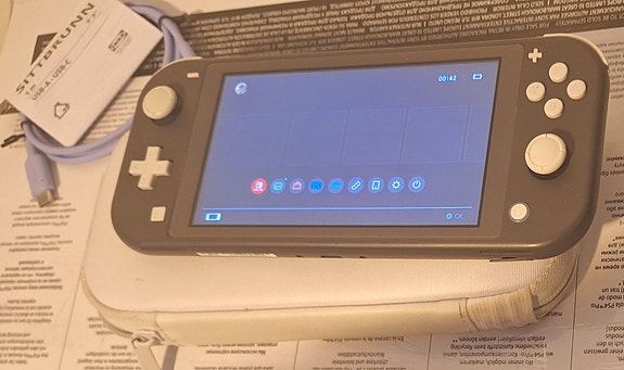 Nintendo Switch Lite
