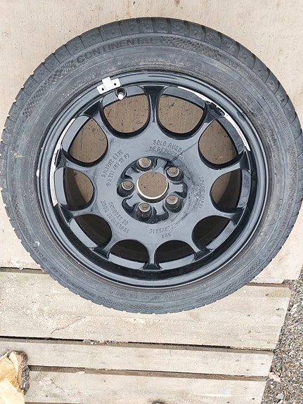 Continental kesärengas