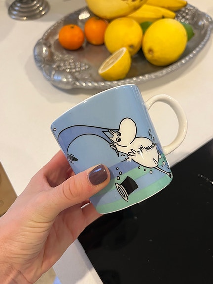 Muumimuki Delfiinisukellus
