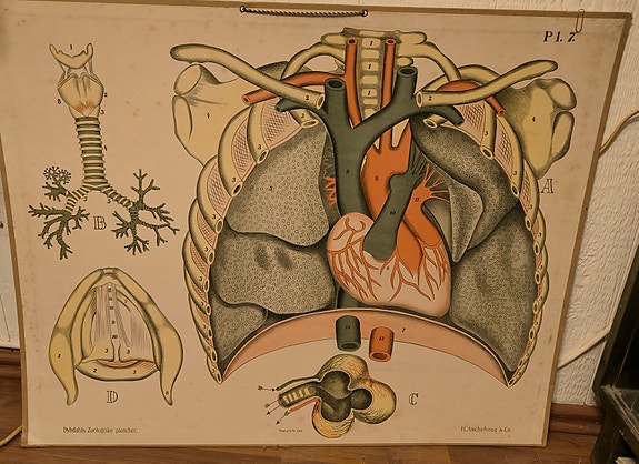 Vanha  koulun opetustaulu