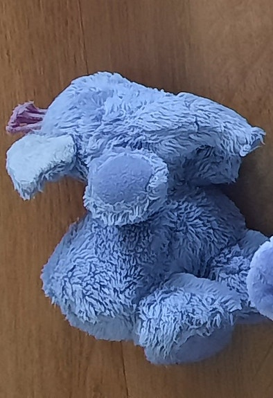 Dumbo -norsu
