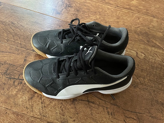 Puma Sisäpelikengät 38