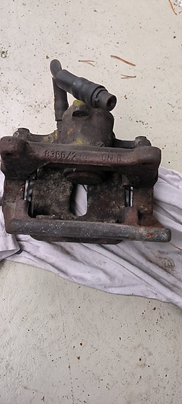 Jarrusatula AUDI
