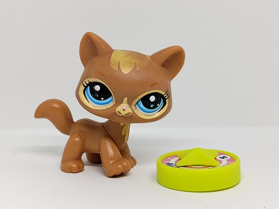 LPS astuva kissa