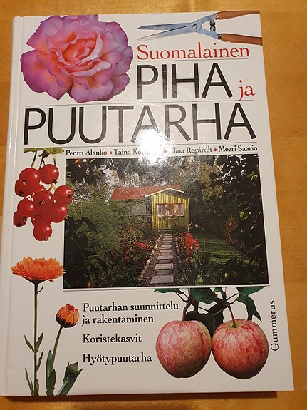 Suomalainen piha ja puutarha
