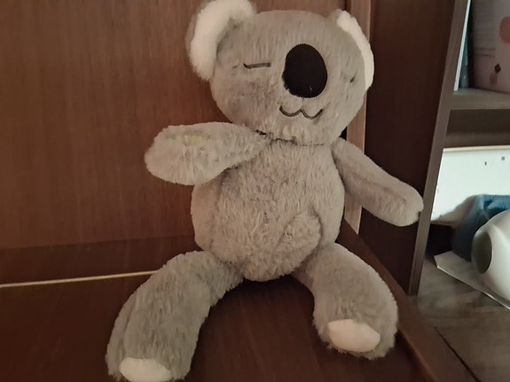 Mindfulness Koala