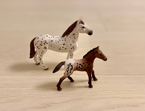 Product image 8 of 19