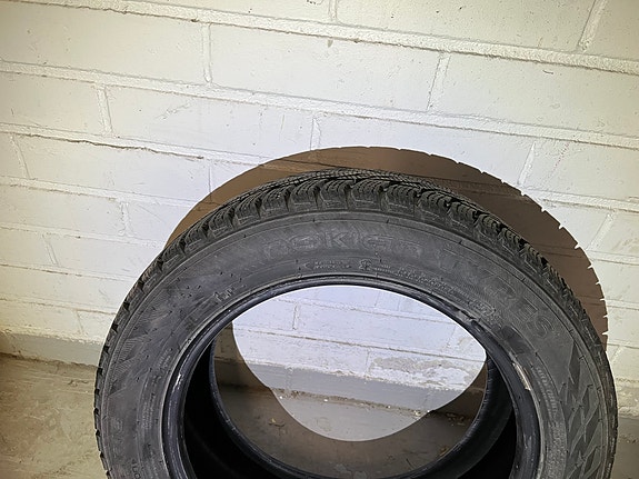 Nokian kitkat 205/55R16