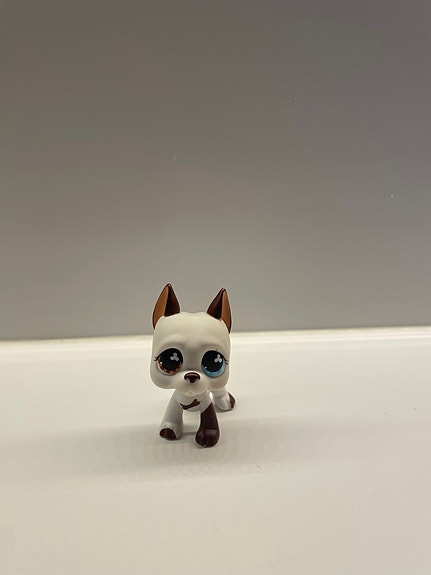 Littlest Pet Shop Tanskandoggi