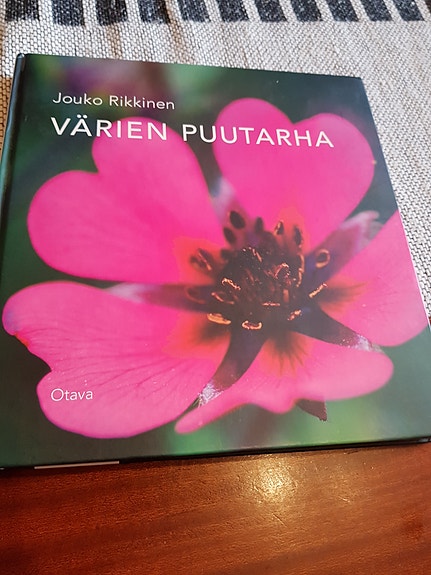 Värien puutarha. Jouko Rikkinen