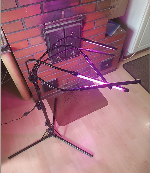 Grow light kasvivalaisimet LED kasvivalo kasvien valaistus säädettävä korkeus