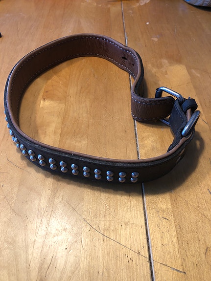 Kaulapanta