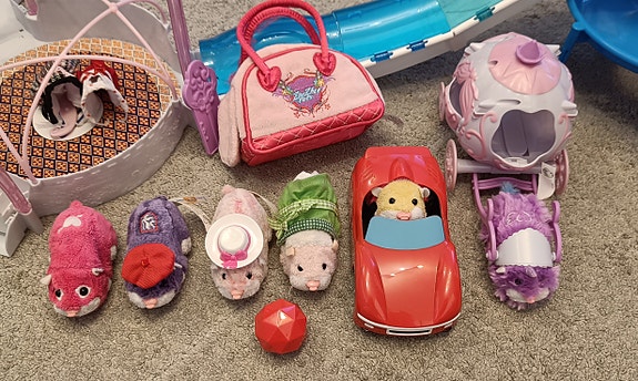 Zhuzhu pets maailma, hahmot ja huoneet