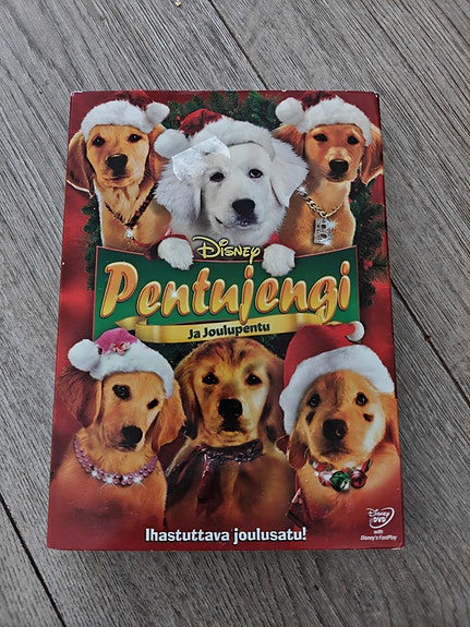 Pentujengi DVD