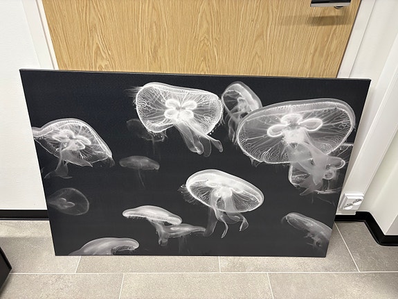 IKEA PJÄTTERYD