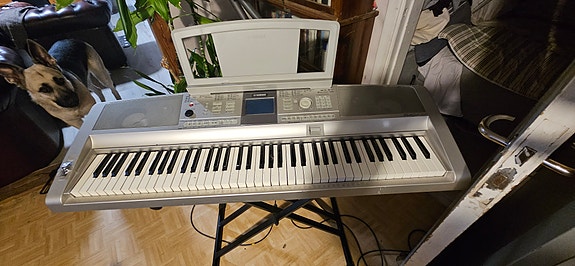 Yamaha Portable Grand DGX 305 | Tori
