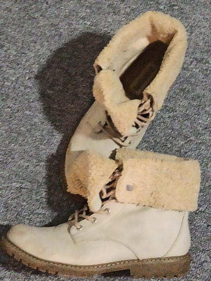Talvinilkkurit 40