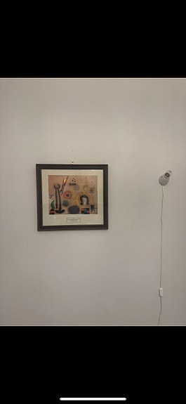 Joan Miro